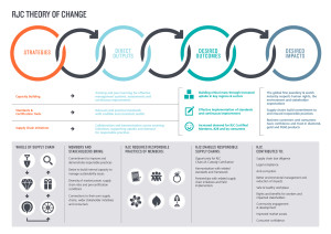Theory of Change1